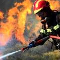 Στάχτη έγιναν αρκετά στρέμματα πευκοδάσους από φωτιά στην περιοχή της Παλαιάς Επιδαύρου