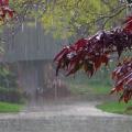 &quot;Μούλιασε&quot; από τις βροχές η Κρήτη - Τι δείχνουν τα βροχομετρικά στοιχεία  