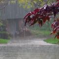 rainy-day-990x556.jpg
