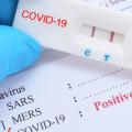 rapid test