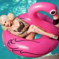 sabina_kelley_pink_flamingo_pool_float.jpg
