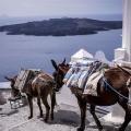 santorini_gaidourakia-600-x-337.jpg