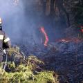 Υψηλός ο κίνδυνος για πυρκαγιά στην Κρήτη το Σάββατο
