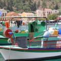 scczen_190315splboats_620x310.jpg