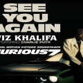 see_you_again.png