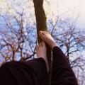 spring-nature.jpg