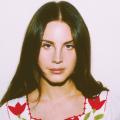 stalker-arrested-for-attempting-to-kidnap-lana-del-rey.jpg