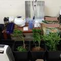 sunelifthisan-sti-thessaloniki-4-atoma-gia-diakinisi-kai-kalliergeia-kannabis.jpg