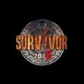 survivor-682x384.jpg
