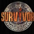 survivor2.jpg