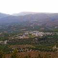 Συκιά Ιεράπετρας