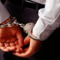 Έβρος: Σύλληψη 46χρονου που πέταξε τρία κουτάβια σε λίμνη