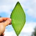 Το πρώτο τεχνητό φύλλο είναι γεγονός!