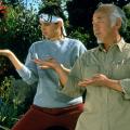 the-karate-kid-3-di-02.jpg