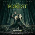 the_forest_movie2016_to_dasos_tainies_cinema.jpg