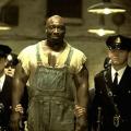the_green_mile_to_prasino_mili_star_programma_tileorasis.jpg