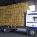 Στο στόχαστρο κλεφτών μπήκαν... 40 μπάλες τριφυλλιού σε χωράφι στο Κιλκίς