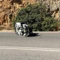 τροχαιο με γουρουνα