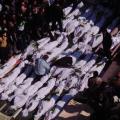 Συρία: Ξεπέρασαν τους 170.000 οι νεκροί στον πόλεμο