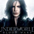 underworld_blood_wars_i_aimatoxisia_theo_james_cinema_movies_2016.jpg