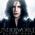 underworld_blood_wars_i_aimatoxisia_theo_james_cinema_movies_2016.jpg