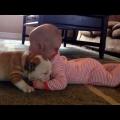 Μωρό VS bulldog: Ποιο είναι το πιο χαριτωμένο; 