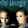 wild_things_2_programma_tileorasis_mega.jpg