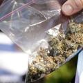 Λασίθι: Έκρυψαν το χασίς σε χωράφι αλλά φεύγοντας έπεσαν πάνω στους αστυνομικούς