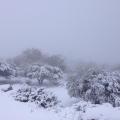 Δηλώσεις ζημιάς απο χιονόπτωση στο δήμο Μινώα Πεδιάδας
