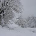 Κλειστά τα σχολεία στη Βιάννο ... λόγω χιονιά