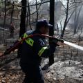 Υπό μερικό έλεγχο η φωτιά στο Αμάρι - 25 στρέμματα έγιναν στάχτη