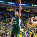 zalgiris.jpg