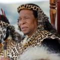 Goodwill Zwelithini