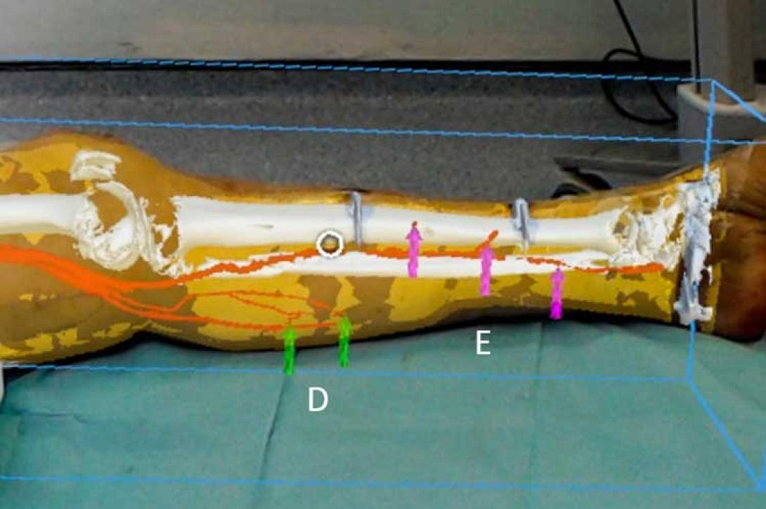 ολογράμματα