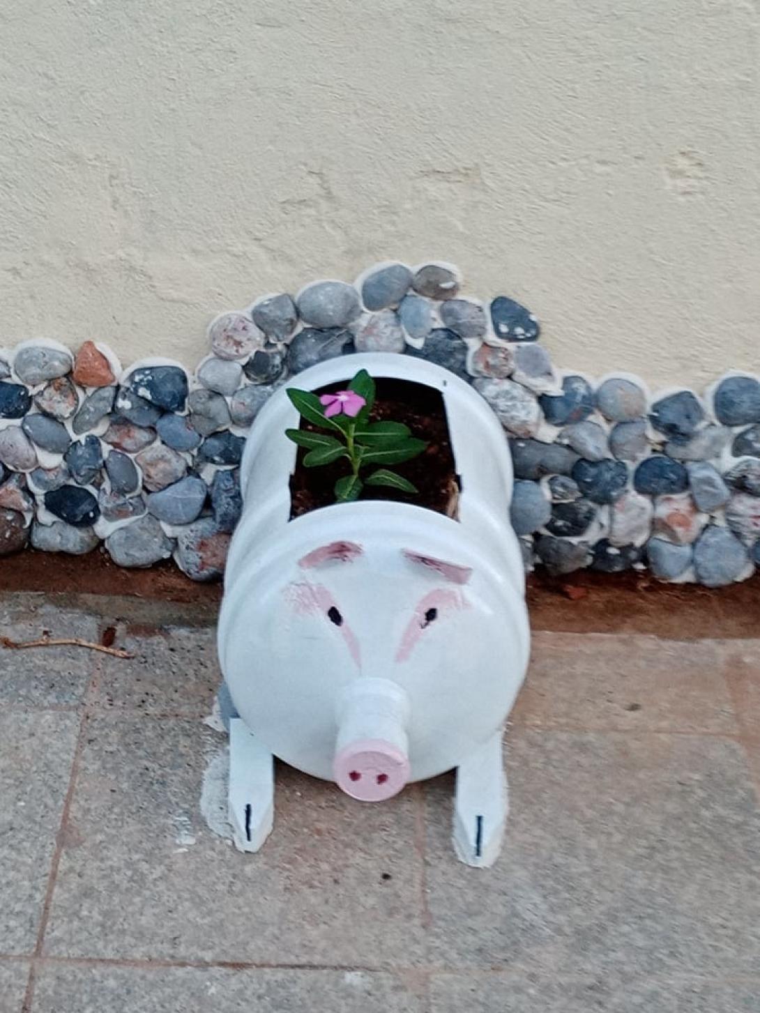 Μάλια- εργασίες καλλωπισμού