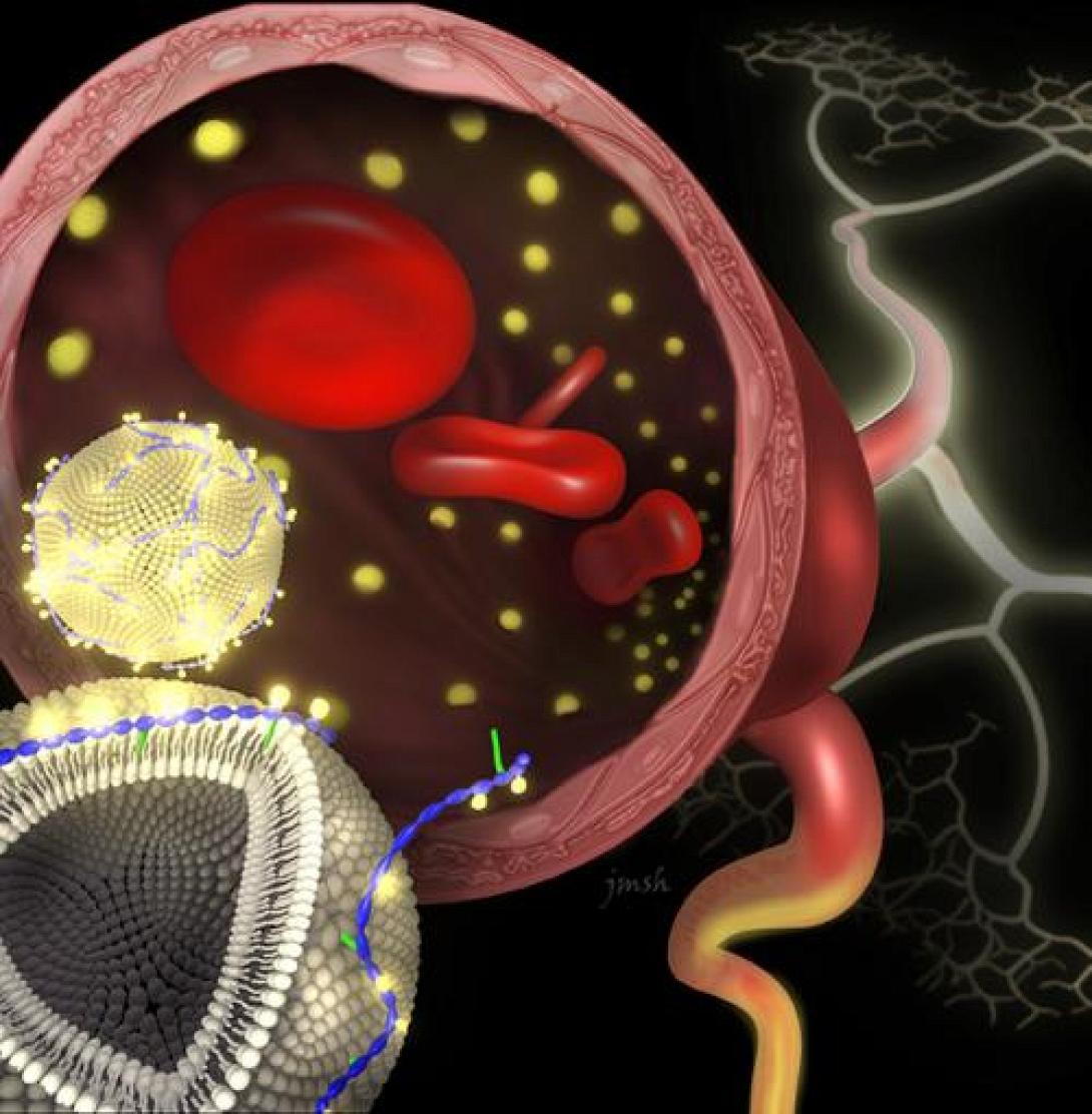 Επαναστατικός «νανοχυμός» υπόσχεται καλύτερες διαγνωστικές εξετάσεις του εντέρου