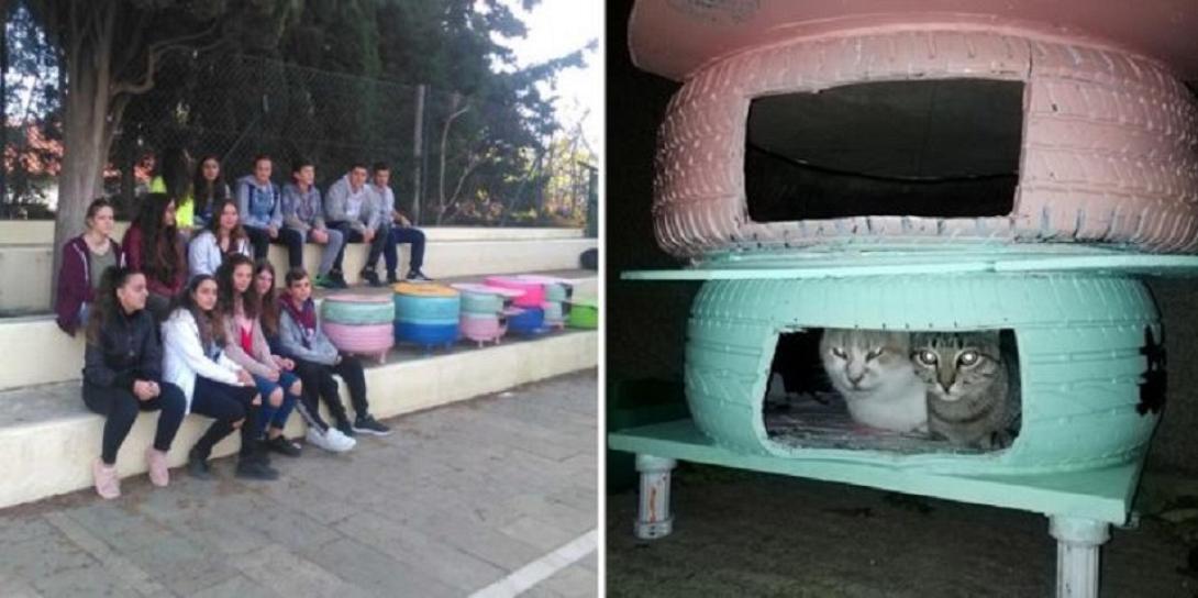 Μαθητές έφτιαξαν σπιτάκια από λάστιχα αυτοκινήτου για τις αδέσποτες γατούλες.jpg