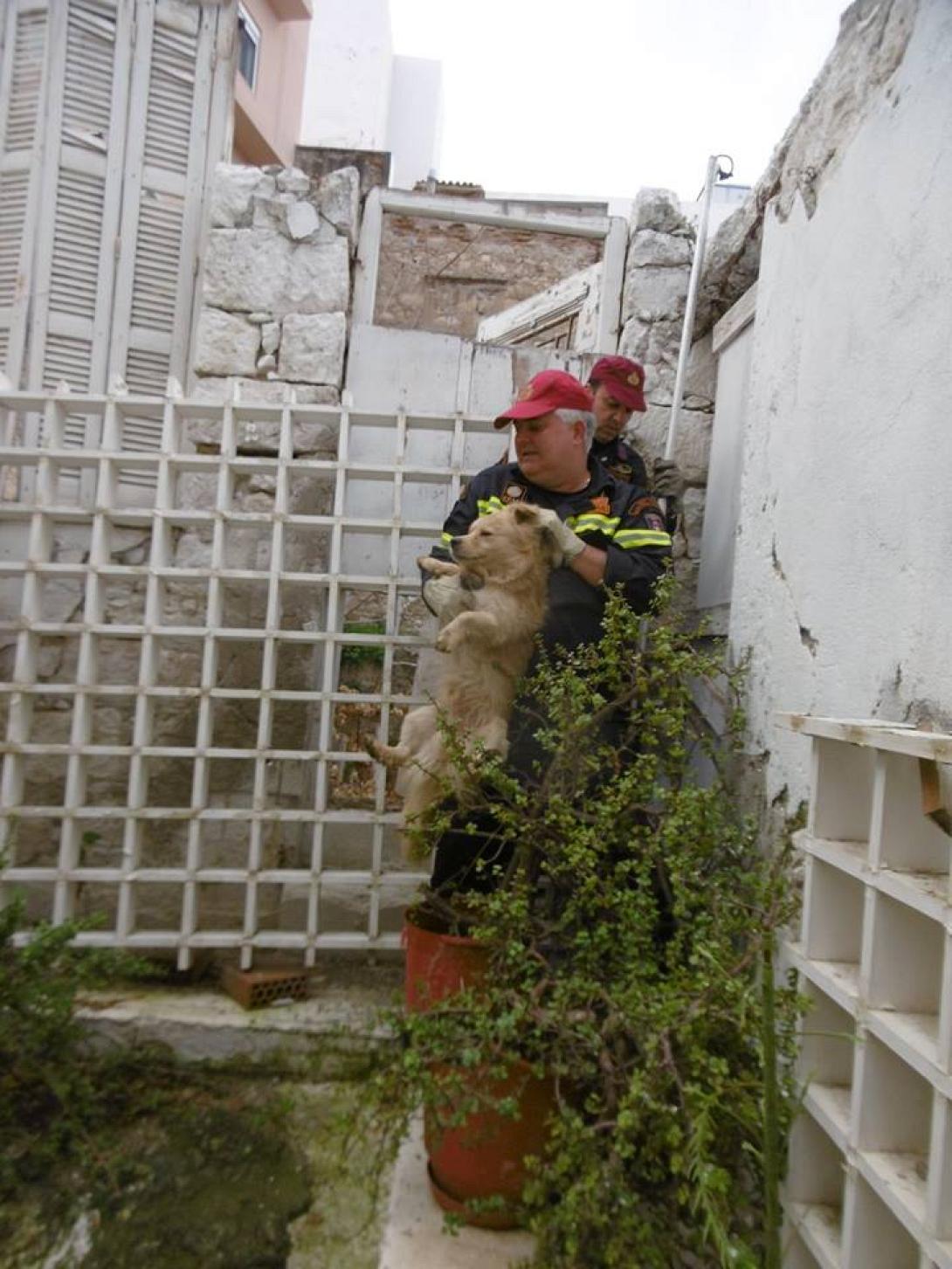 διάσωση σκύλου ΕΜΑΚ