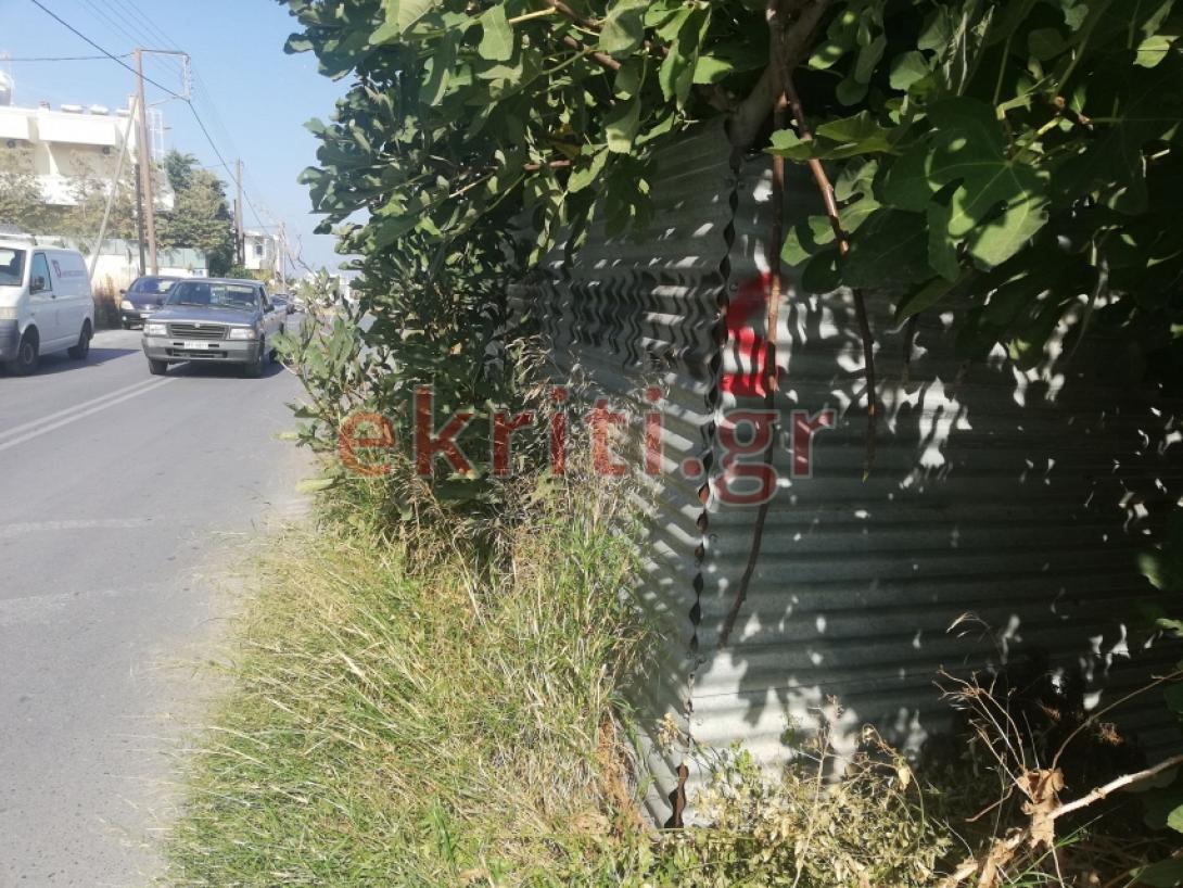 μεσαμπελιές