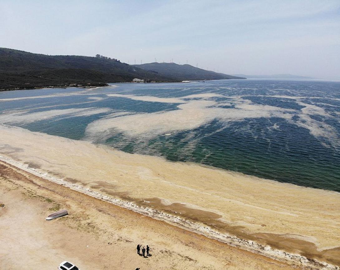 βλέννα τουρκία