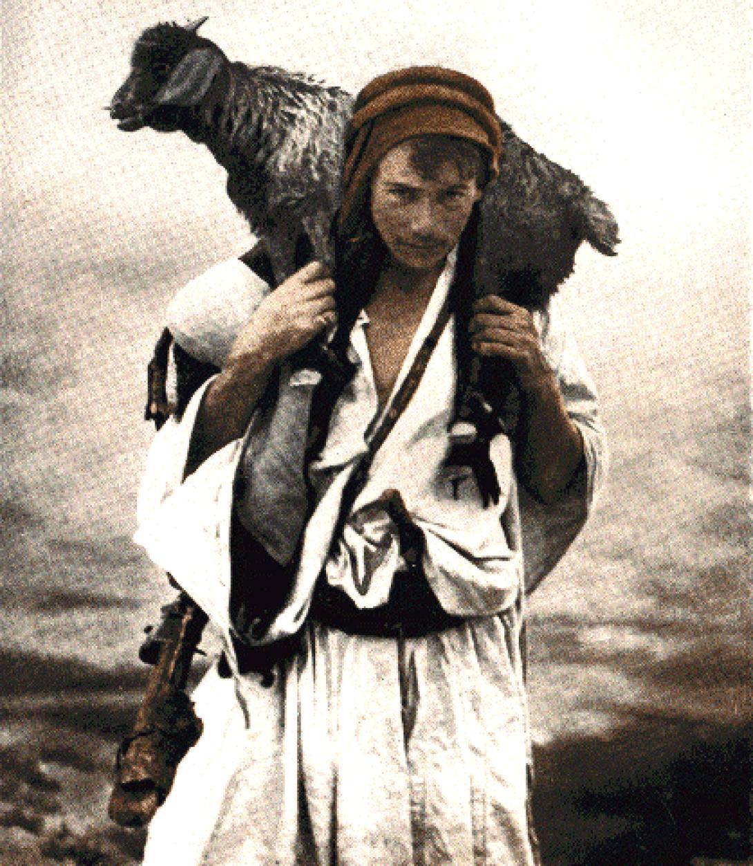 Πρόβατα από .. χρυσάφι. Μία κρητική υπόθεση 90 αιώνων