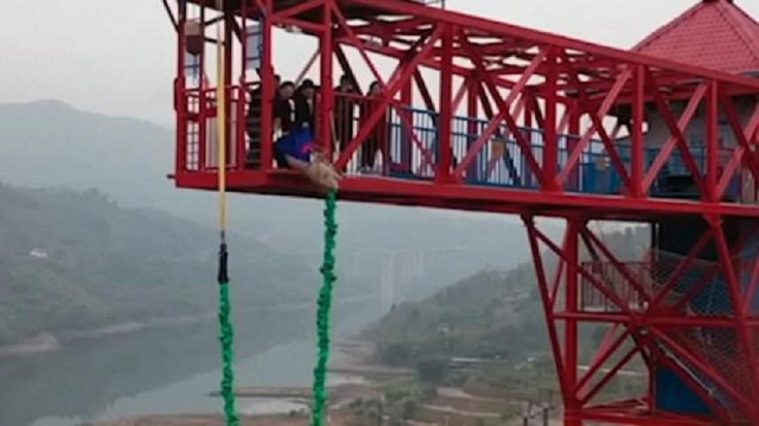 γουρούνι-bungee jumping.jpg