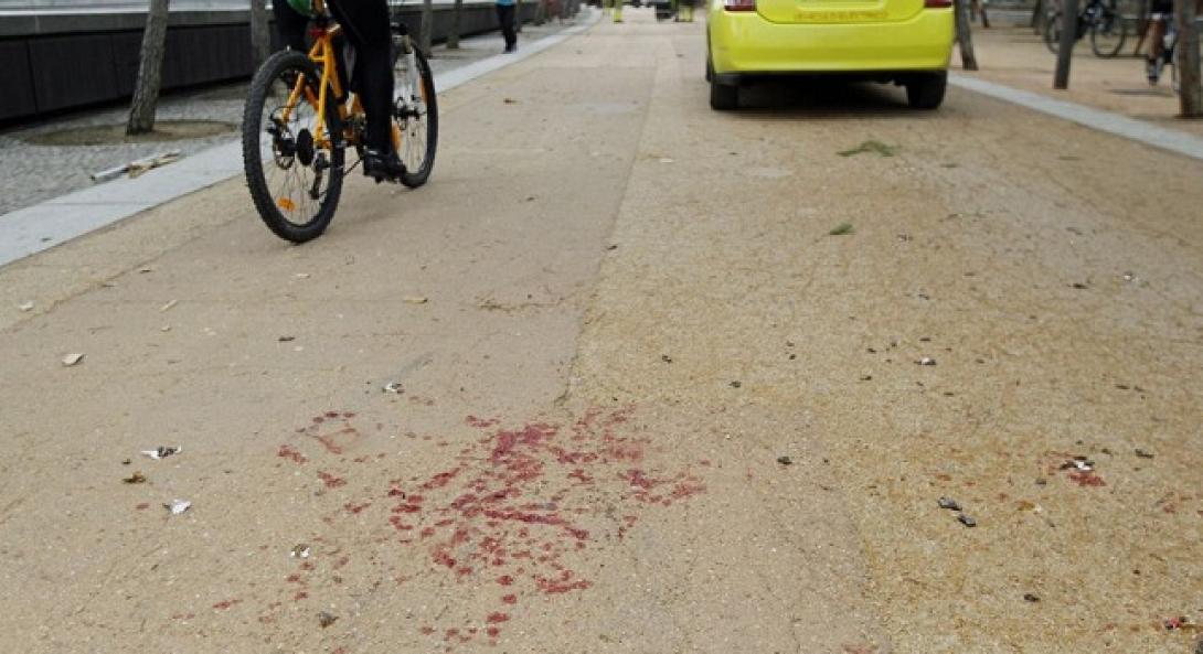 Στοιχεία-σοκ για το ραντεβού θανάτου οπαδών στην Ισπανία