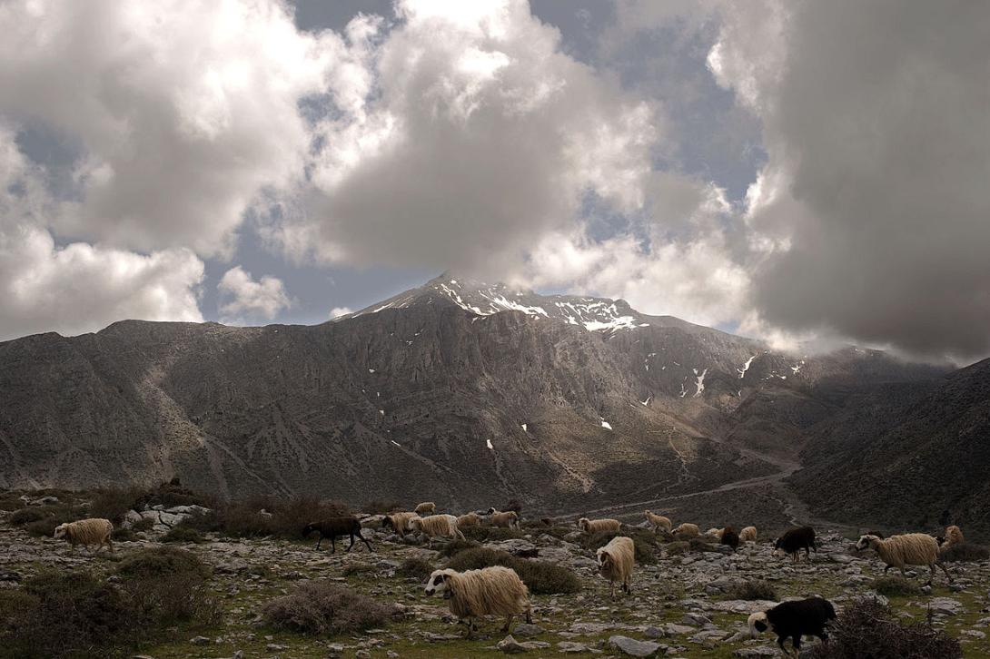 1200px-20090412_oroseira_dikth_apo_oropedio_limnakarou.jpg