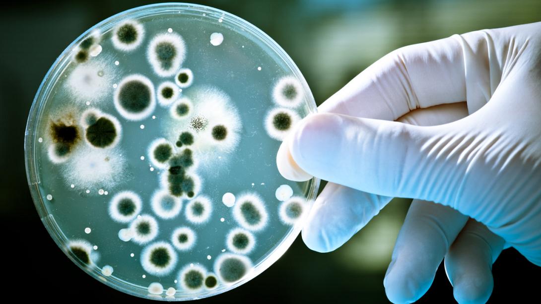 nanomedicine.jpg