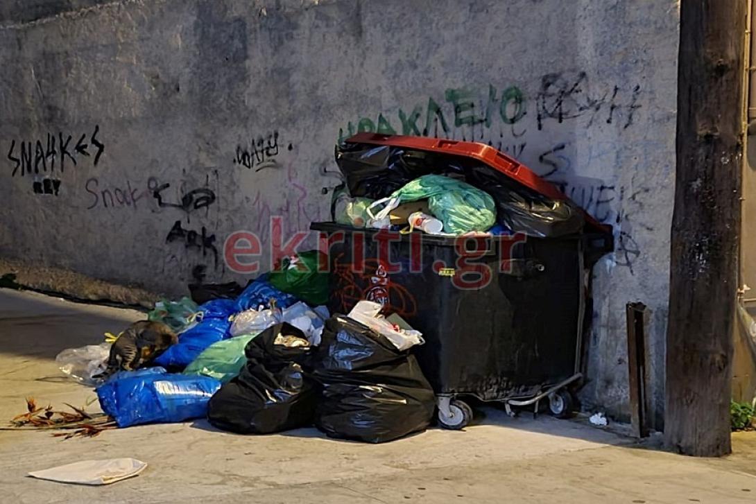 Τα απορρίμματα στην οδό Ευρώπης