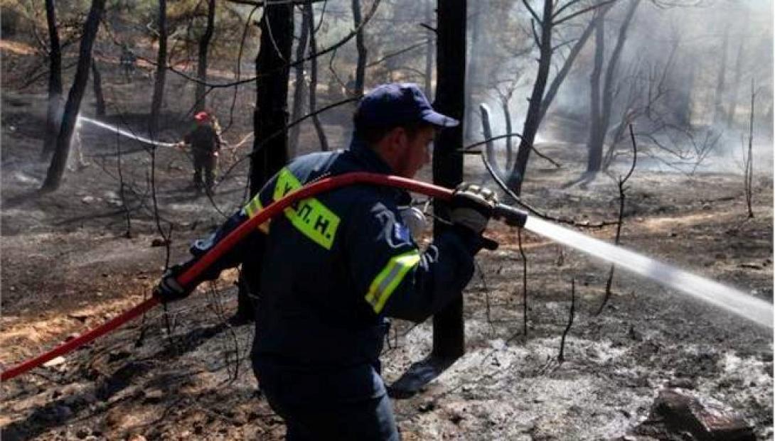 Προφυλακίστηκε άνδρας για τις πυρκαγιές στον Καρέα Αττικής
