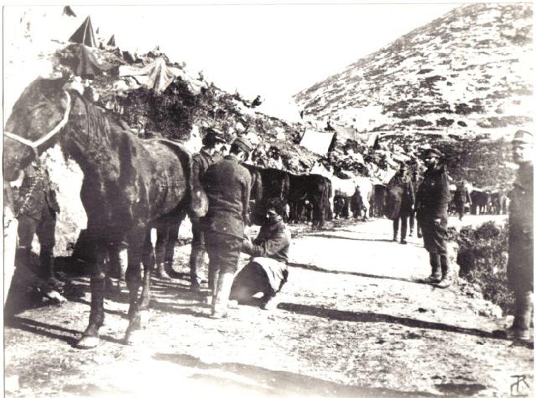 Τα άλογα του Ελληνικού Στρατού - Οι αγνοημένοι ήρωες των πολέμων