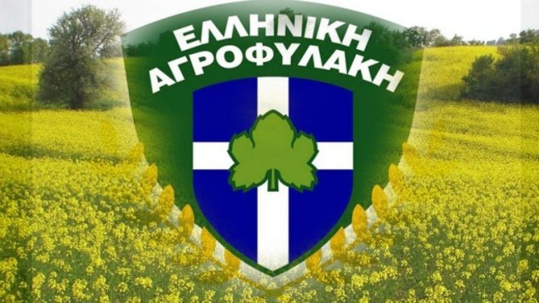 αγροφυλακη.jpg