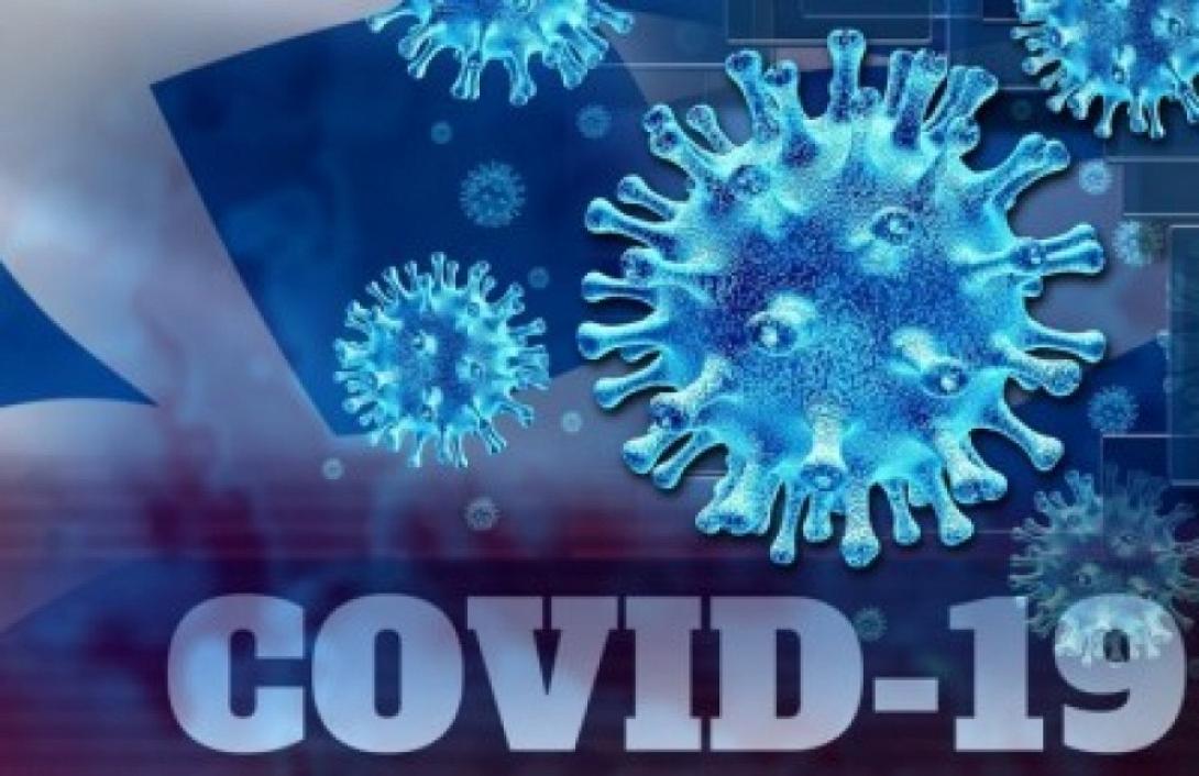 covid 19